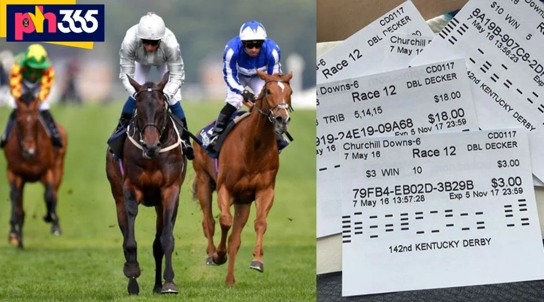 Horse racing betting PH365 – The Premier International Prediction Lobby