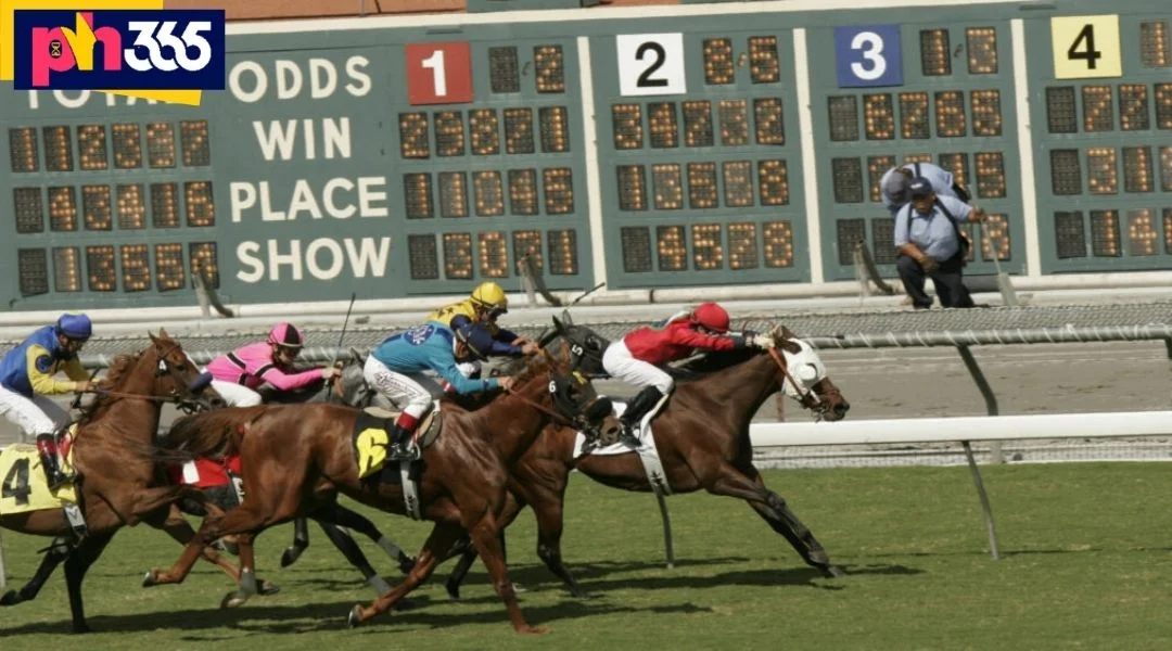 The Rules of Horse Racing Betting PH365 Are Very Easy to Understand